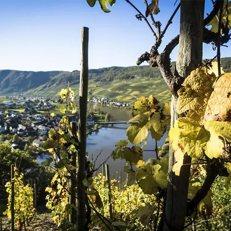 Traumblick Auf Moselschleife, 2 Balkone, Weitblick, Piesport, 아파트 피에스포트