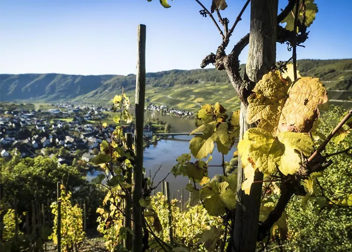 Weitblick, Piesport, Traumblick Von 2 Balkonen Auf Moselschleife דירה פיספורט